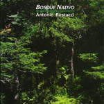 Bosque nativo