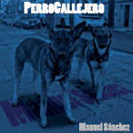 Perro callejero