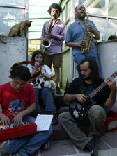La Pincoyazz