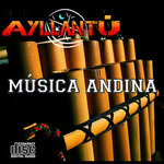 Música andina