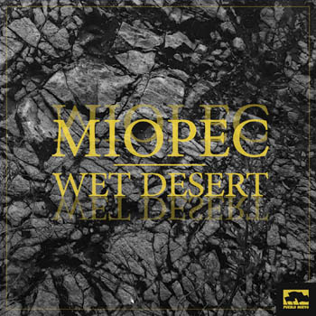 Wet desert