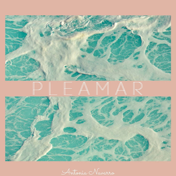 Pleamar