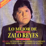 Lo mejor de Zalo Reyes