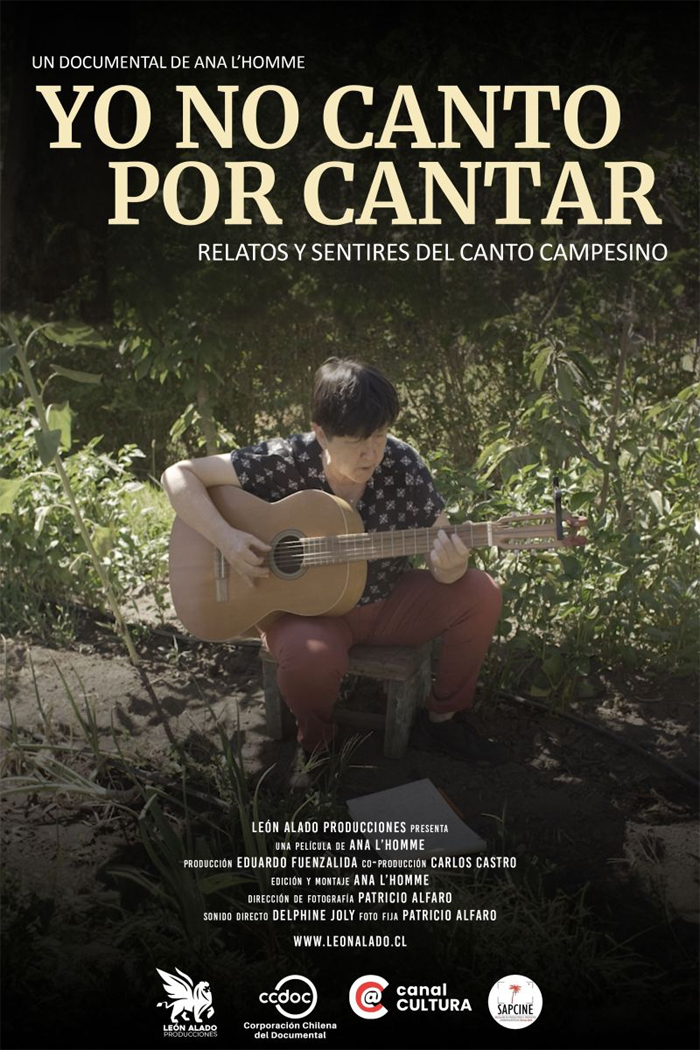 Yo no canto por cantar