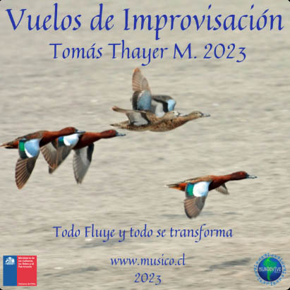 Vuelos de improvisación