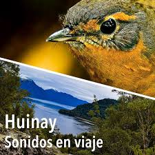 Huinay, sonidos en viaje