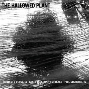 The hallowed plant