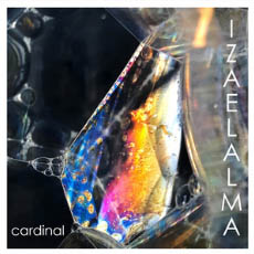 Cardinal EP