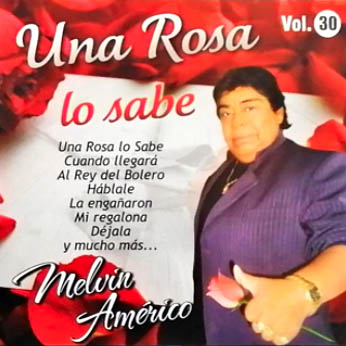 Una rosa lo sabe