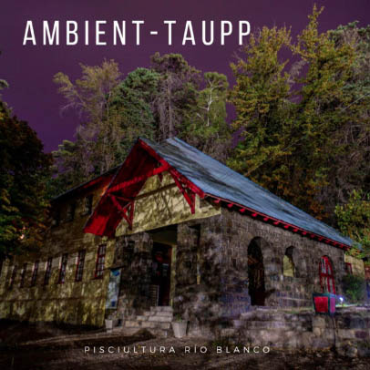 Ambient-taupp